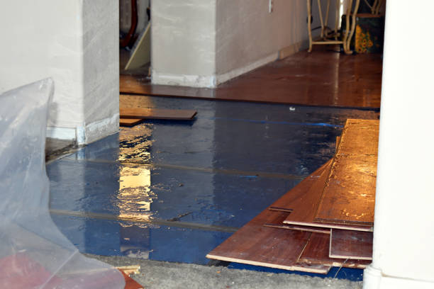 Professional Basement Flood Cleanup technician working in Dunbarton, NH